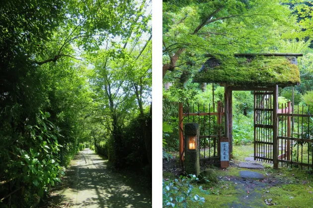 木々が多く、生垣や竹垣の続く浄智寺谷戸の小径　右／風情ある佇まいの宝庵入口